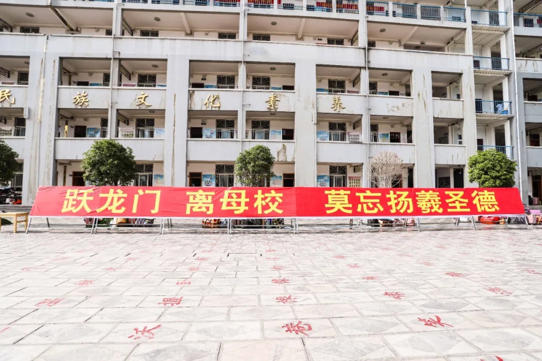 青春不散场，逐梦再起航