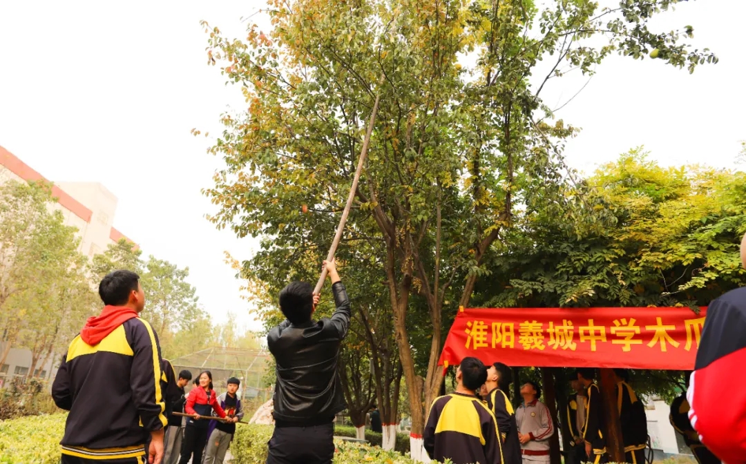 开心收获 快乐成长